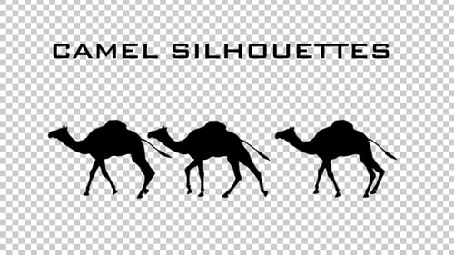 Silhouettes chameaux