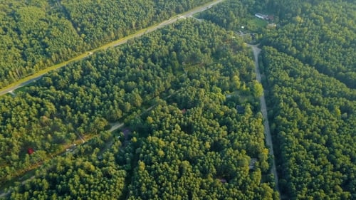 Roads in Green Woods