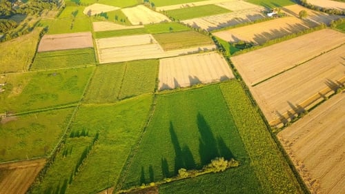 Picturesque View of Green Farmland