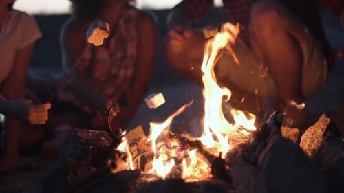 Friends Roasting Marshmallows Around Beach Bonfire at Night