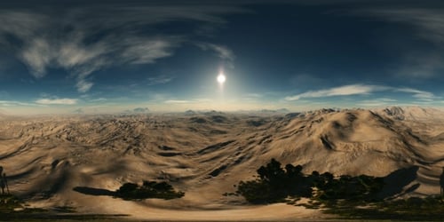 Panorama aéreo VR de 360 graus das palmeiras no deserto