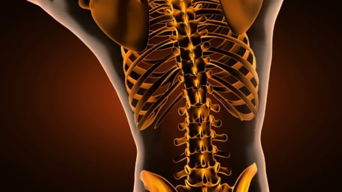 Human Bones Radiographic Scan
