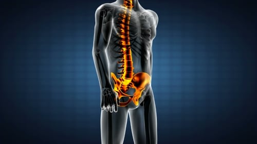 Human Bones Radiographic Scan