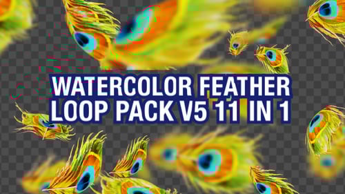 Falling Watercolor Peacock Feathers Seamless Loop