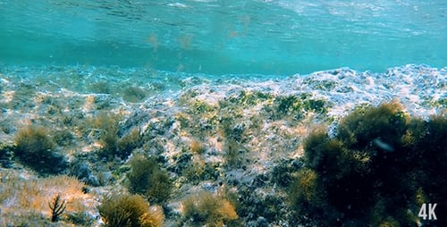 Unterwasser-Look 2