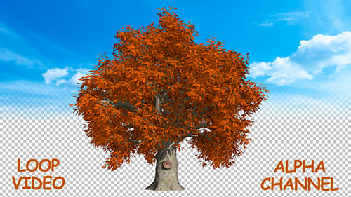 Herbst-Baum