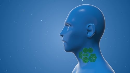 3D Animated Human Head with Internal Gears for Medical Concepts