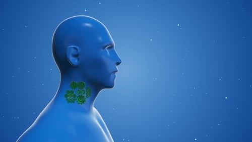 Animated Human Neck with Rotating Internal Gears for Medical Science