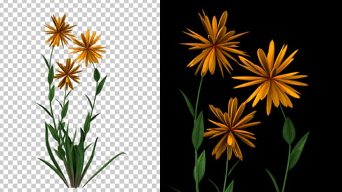 Flor amarela crescente