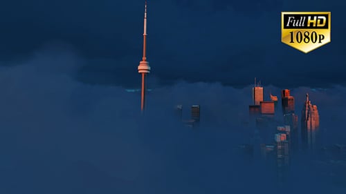 3D Toronto 19