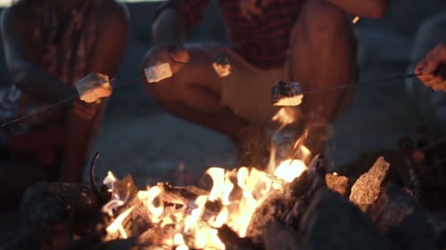 Friends Roasting Marshmallows Around a Campfire at Night