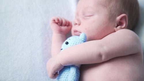Newborn Child Is Sleeping with Favourite Toy, Sweet Dreams of Little Baby, Healthy Sleep, Newborn