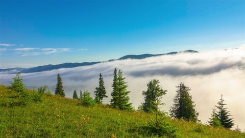 Scenic Mountain Landscape with Fog in Valley