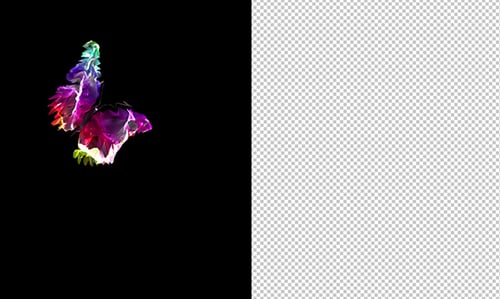 Transitions Life Color