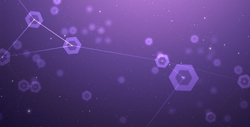 Data Network
