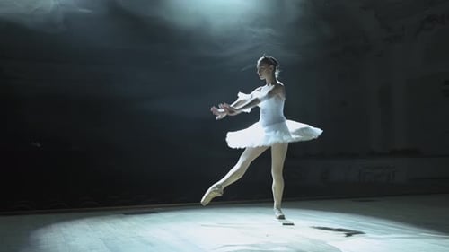 Ballerina Dancing