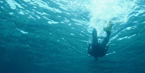 Snorkeling 2