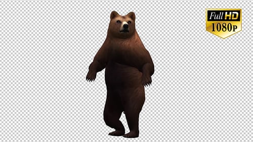 3D Animated Brown Bear Standing and Roaring