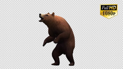 Animated 3D Brown Bear Roaring with Transparent Background