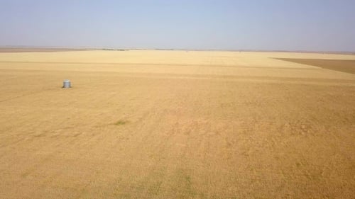 Aerial Flyover of Prairie Wheat Field
