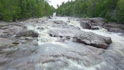 Raging River in a Forest
