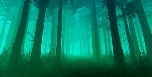 Forest In Fog