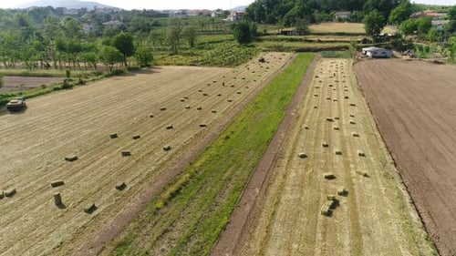 Hay Bales Harvested in Expansive Rural Farmland