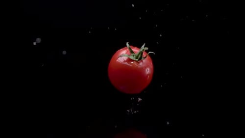 Fresh Red Tomato with Water Droplets on Black