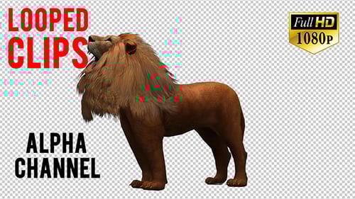 Powerful 3D Animated Lion Roaring Loop