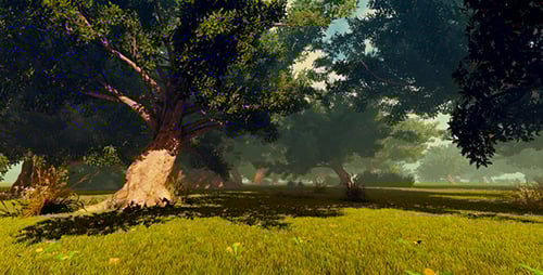 Movement Through The Forest