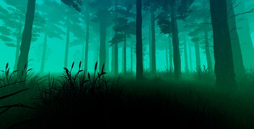 Fog Forest