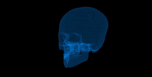 Skeleton Head X-Ray künstliche Intelligenz
