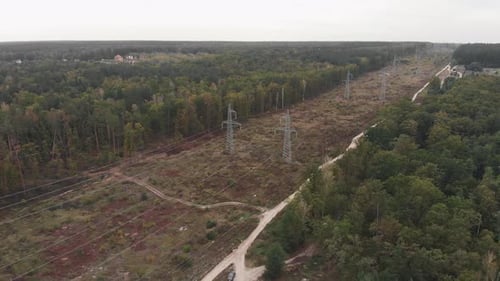 Aerial View of Forest and Power Lines