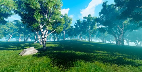 Movement Through The Forest From Deciduous Plants