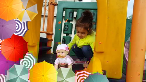 Autumn Leaves and Umbrellas Framing Video Overlay