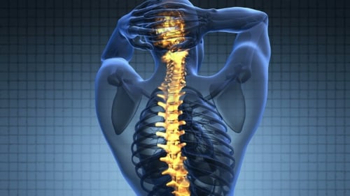 Backache in Back Bones