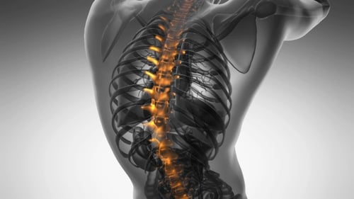 3D Medical Animation of Glowing Human Spine and Ribs