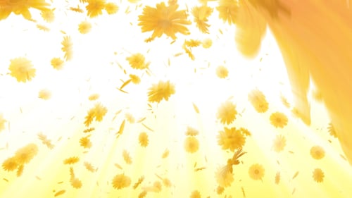 Gänseblümchen fallen