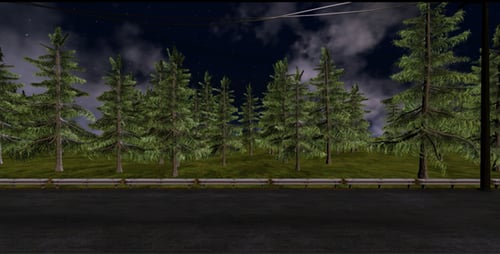 Forest Road Night