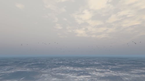 Ocean With Seagulls