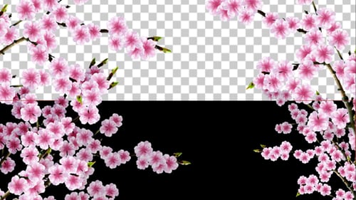 Sakura Alpha 01