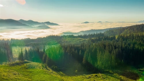 Majestic Mountain Forest with Fog at Sunrise