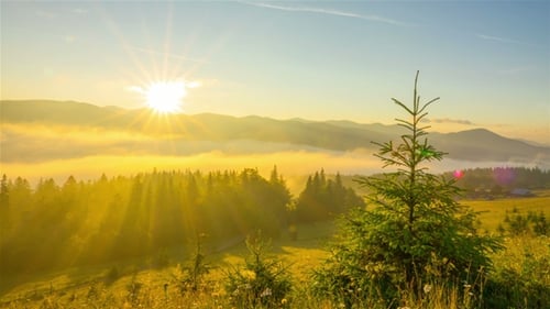 Nebliger Morgen in den Bergen