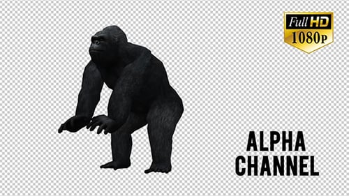 Realistic 3D Gorilla Animation Walking on Transparent Background