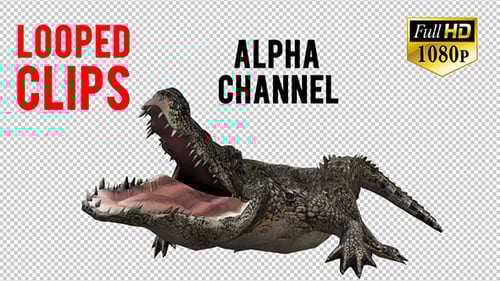 Realistic 3D Crocodile Snapping Jaws Animation