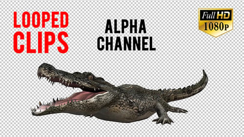 3D Crocadile Animation 2