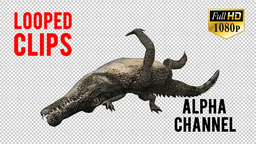 3D Crocadile Animation 3
