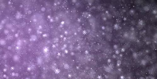 Sparkling Purple Snowflakes Falling Loop Background