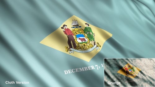 Delaware State Flags