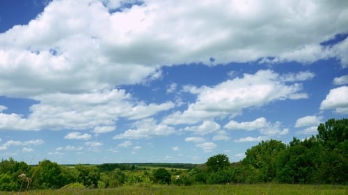 Rural Landscape